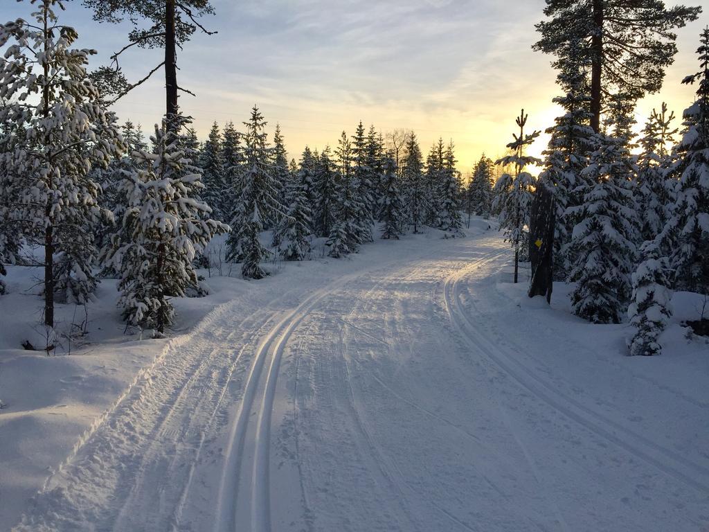 K167 Semesterbostad Kåbdalis